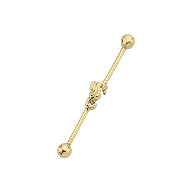 14 Ayar 38mm Denizatı Industrial Köprü Altın Piercing